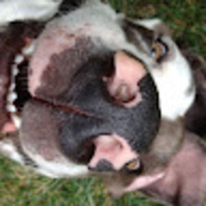 Meet your Posher, Stephen